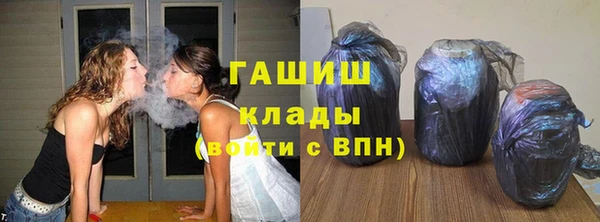 стаф Гусь-Хрустальный