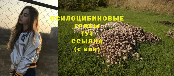 стаф Гусь-Хрустальный