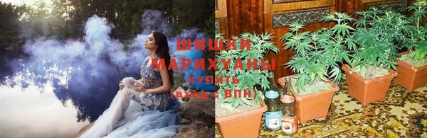 гашишное масло Гусиноозёрск