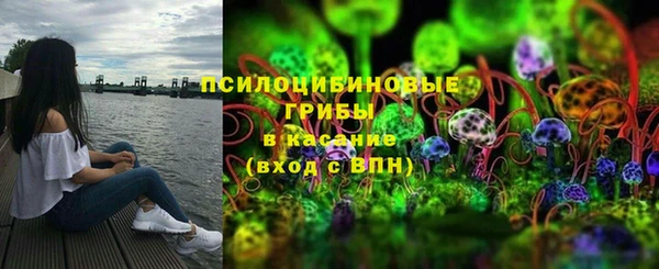 марки lsd Гусев