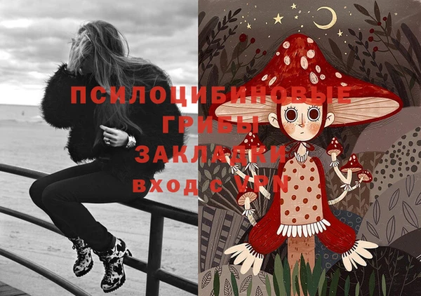 стаф Гусь-Хрустальный