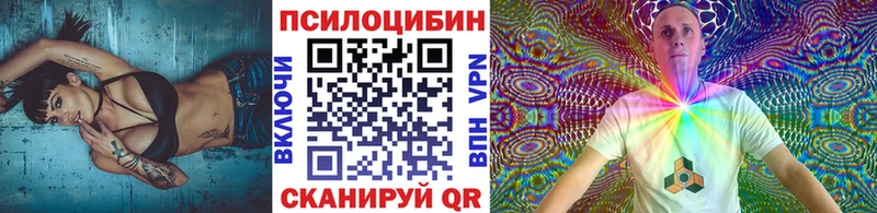Галлюциногенные грибы Psilocybe  Купить закладки  Киржач 