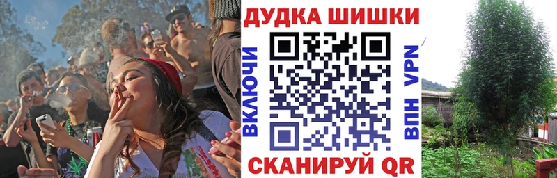 Купить где  Киржач  Марихуана сатива 